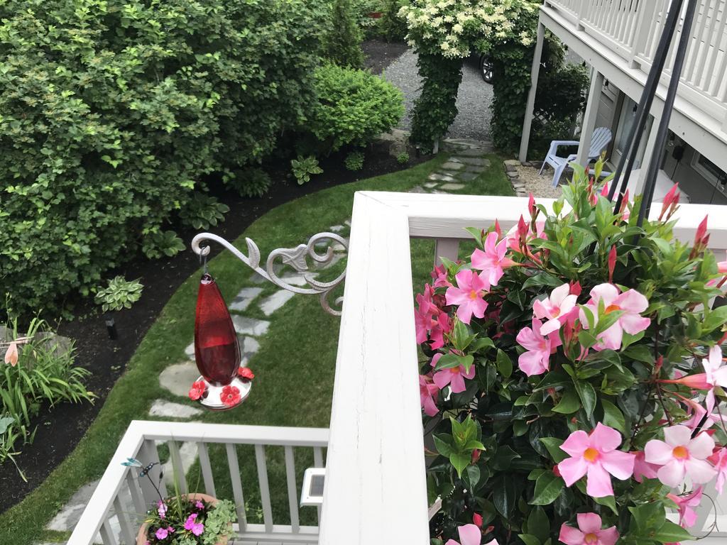 Dragonfly Guest House Ogunquit Exterior foto