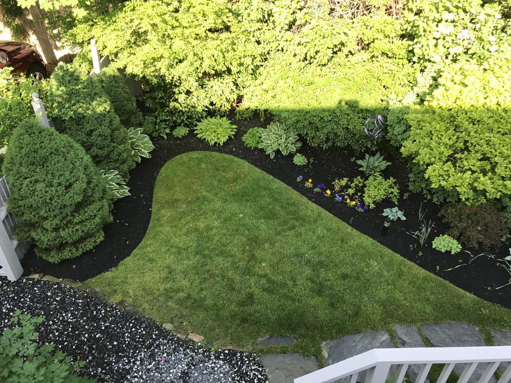 Dragonfly Guest House Ogunquit Exterior foto