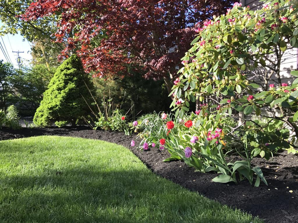 Dragonfly Guest House Ogunquit Exterior foto